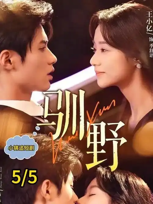 剧集粮仓回声的放映海报